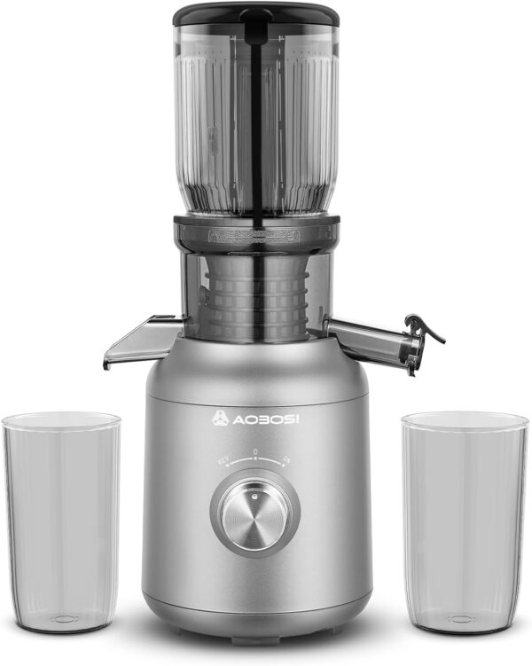 Aobosi 250W Slow Juicer Grau 1,2L 103mm Einfüllschacht