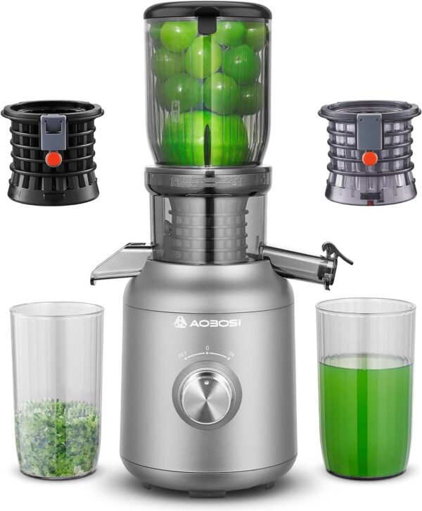 Aobosi 250W Slow Juicer Testsieger 1.2L Grau