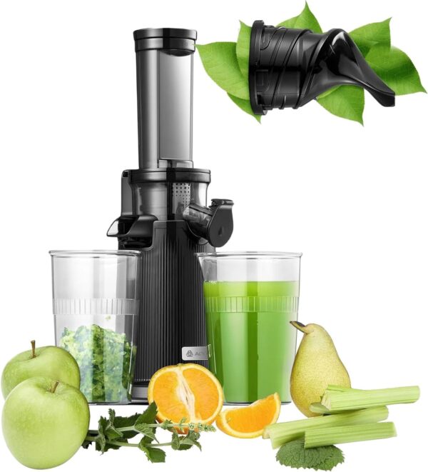 AOBOSI Mini Entsafter Slow Juicer Schwarz