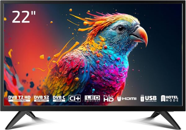 DYON Enter 22 Pro X2 55cm Full-HD TV 2023 Schwarz