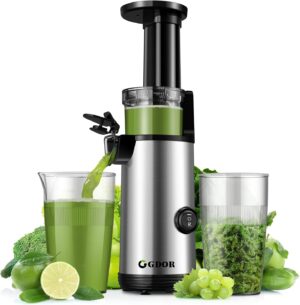 GDOR Slow Juicer SJ600 kompakt leise BPA-frei