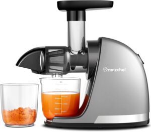 AMZCHEF ZM1501 Slow Juicer Silber Testsieger