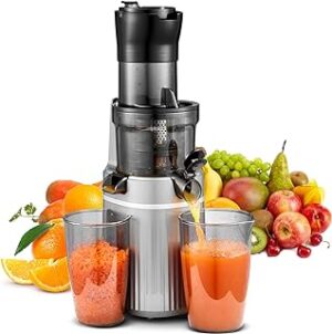 AOBOSI 200W Slow Juicer ZM1501 Testsieger Grau