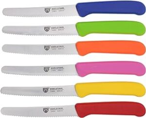 GRÄWE Tafelmesser 6er Set Bunt 21 cm