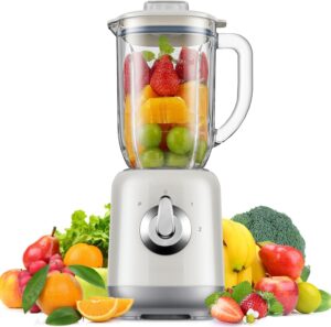 Standmixer 700W 24000 RPM 1.25L Smoothie Maker