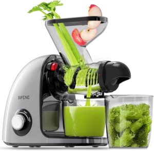 Testsieger Dual-Mouth Slow Juicer Modell X100