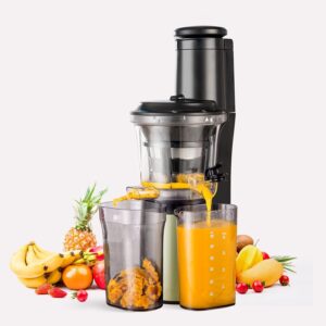 Wiltal Slow Juicer 150W BPA-frei Schwarz