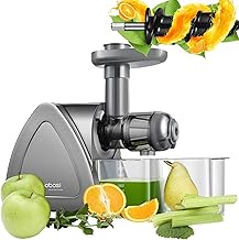 Aobosi Slow Juicer ZM1501 Testsieger Entsafter Grau