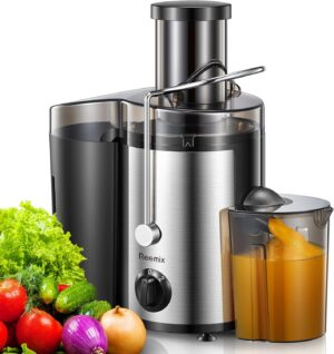 Reemix Max Juicer 500W Edelstahl 3 Stufen