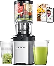 AMZCHEF ZM1501 Slow Juicer Silber