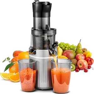 AOBOSI 200W Slow Juicer Grau