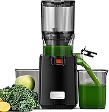 LINKChef Slow Juicer 250W 1,8L 130MM Öffnung