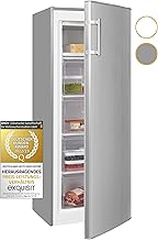 Exquisit GS230-H-040E Gefrierschrank 168L Inox