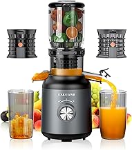 EXREIZST Slow Juicer 250W BPA-frei