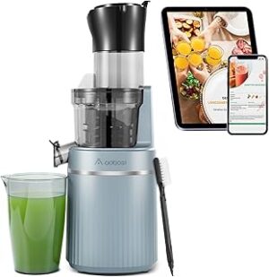 AOBOSI 200W Slow Juicer ZM1501 Blau