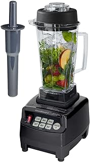 Leistungsstarker Smoothie Maker 2L