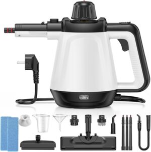 Handdampfreiniger Modell X10 vielseitig Zubehör