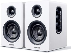 Weißer SW208 Bluetooth 5.0 Regallautsprecher